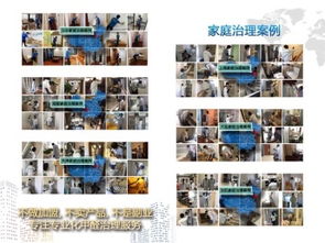 成都甲醛治理與保潔服務選擇指南 如何找到經濟實惠的可靠公司